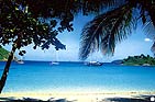 Plages et cocotiers